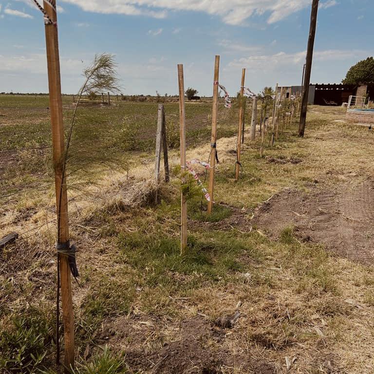 323632355_1271418486805279_7748800926948717146_n