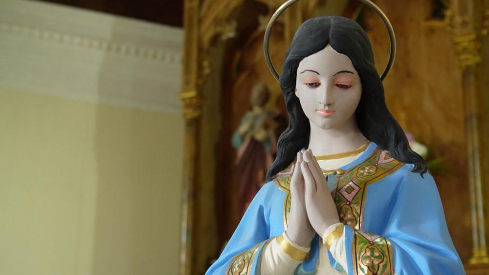 WhatsApp Image 2023-09-08 at 11.28.22 AM