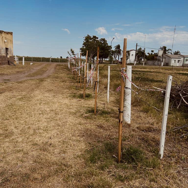 323423302_3701888446801982_4087552171506085261_n