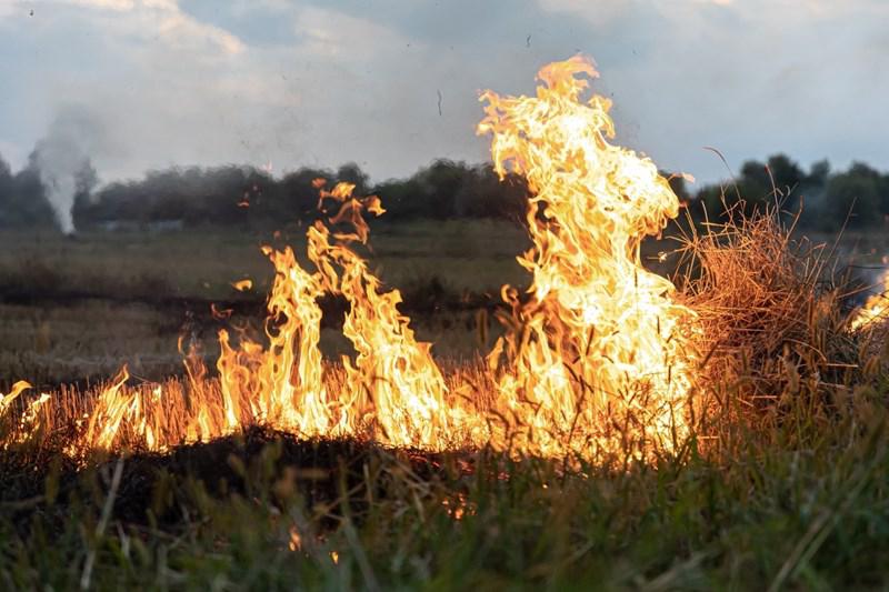 incendio (1)