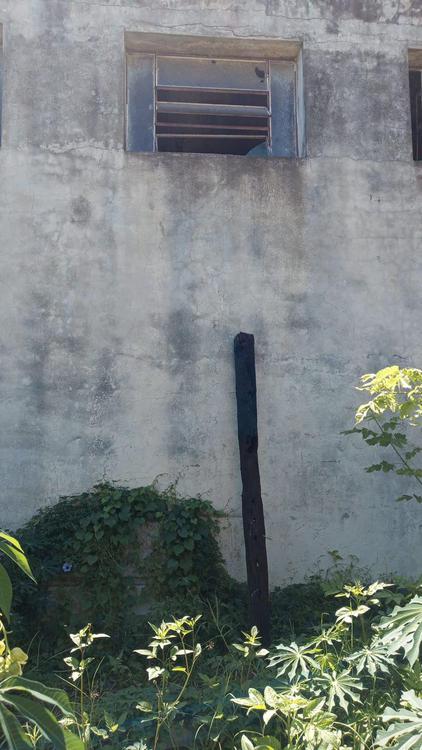 WhatsApp Image 2024-01-15 at 11.57.23 AM