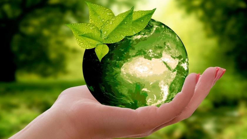medio ambiente 1