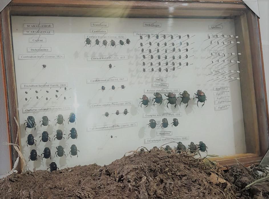 WhatsApp Image 2023-10-05 at 12.06.24 PM