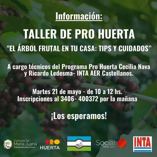 443944073_857843073047569_2575922228795303046_n