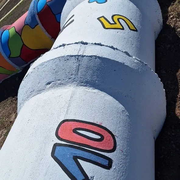 455075895_804785648512437_8414603252111421192_n