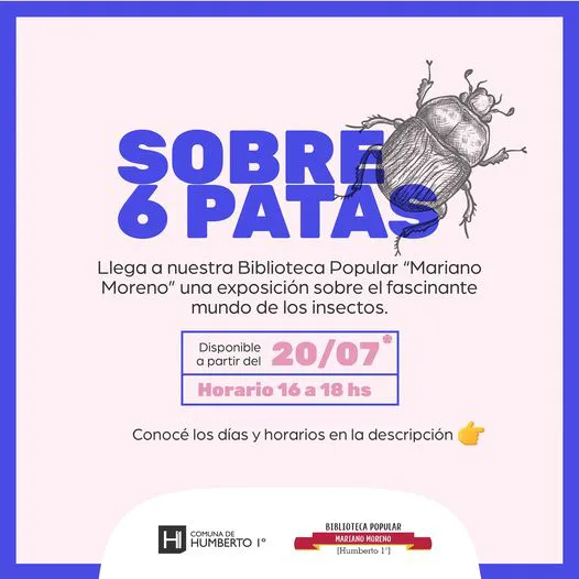 450509758_7760083160744863_34858540617370715_n