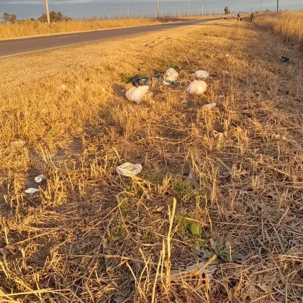 451275635_937559991744118_6218084034849657853_n