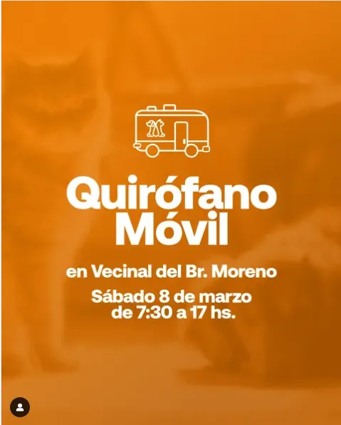 Captura de pantalla 2025-03-07 120328