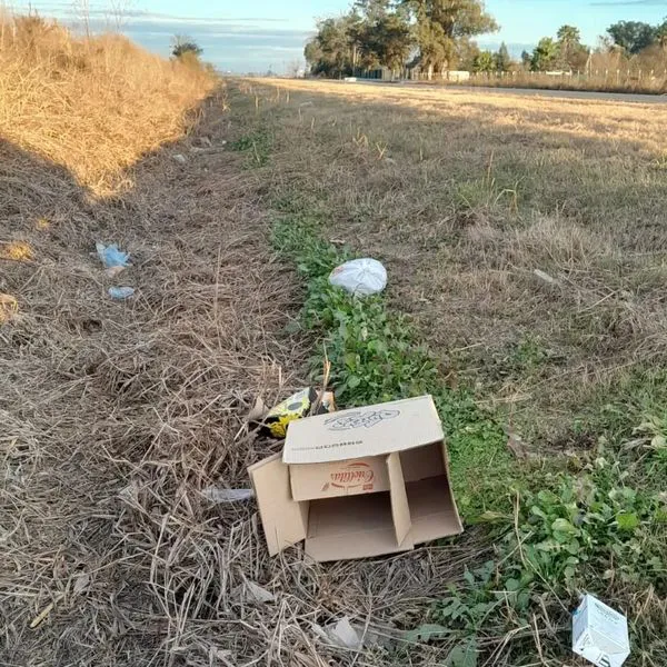 451273223_937560061744111_3803661120556961756_n