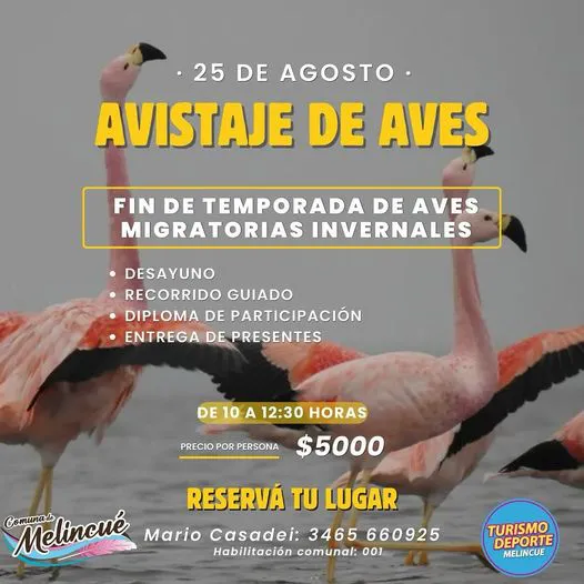 454349067_889011976593307_8977052781843411986_n