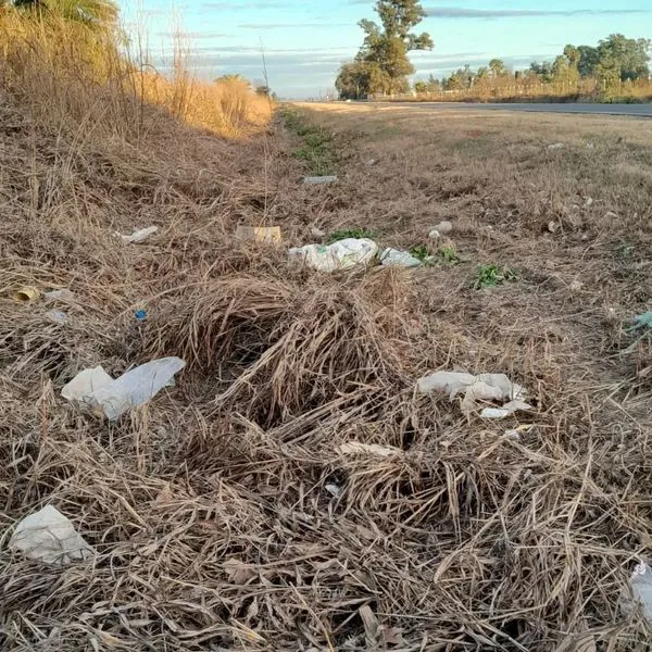 451387061_937559965077454_930160191390445771_n