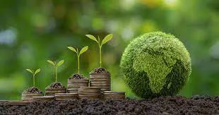 WhatsApp Image 2024-05-30 at 8.42.23 AM