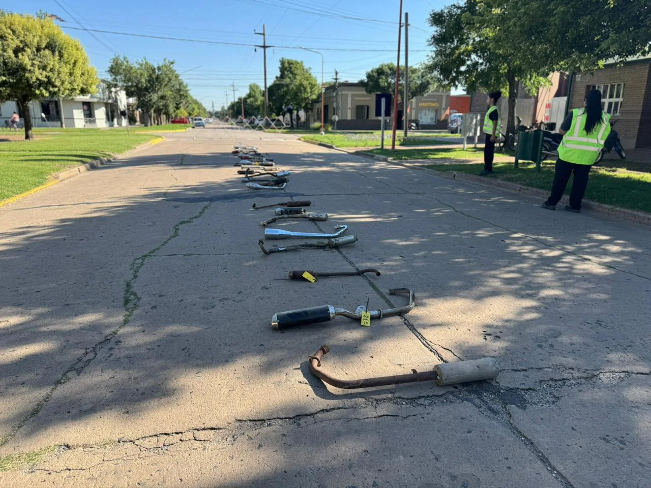 WhatsApp Image 2026-01-29 at 11.49.39