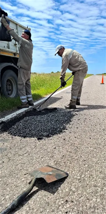 WhatsApp Image 2025-03-14 at 2.33.45 PM