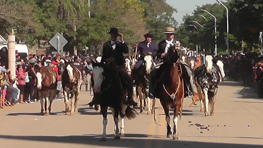 Vignaud desfile jinetes