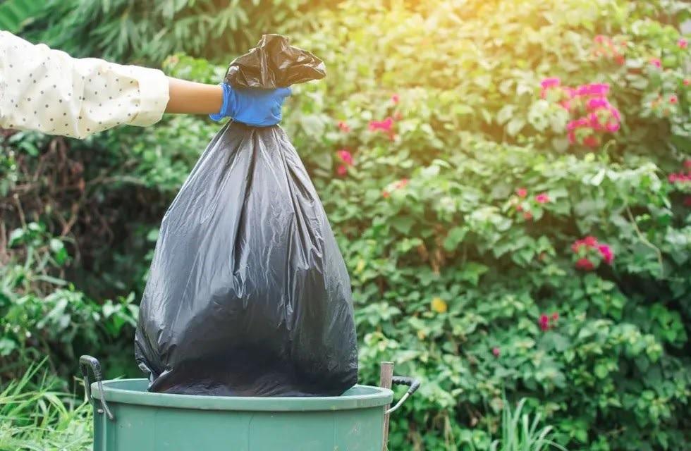 WhatsApp Image 2023-07-02 at 17.27.09