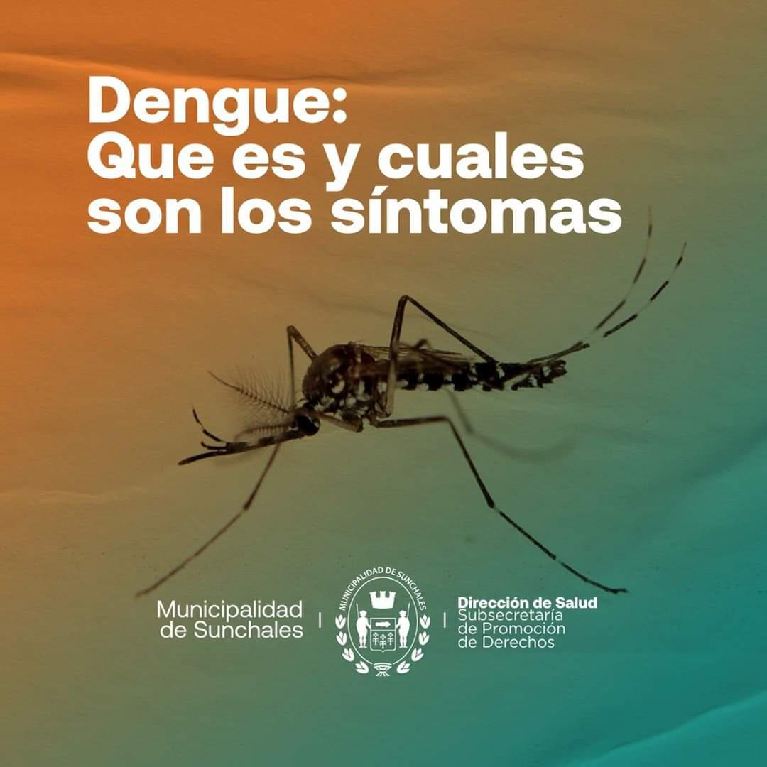 WhatsApp Image 2024-02-19 at 09.41.59