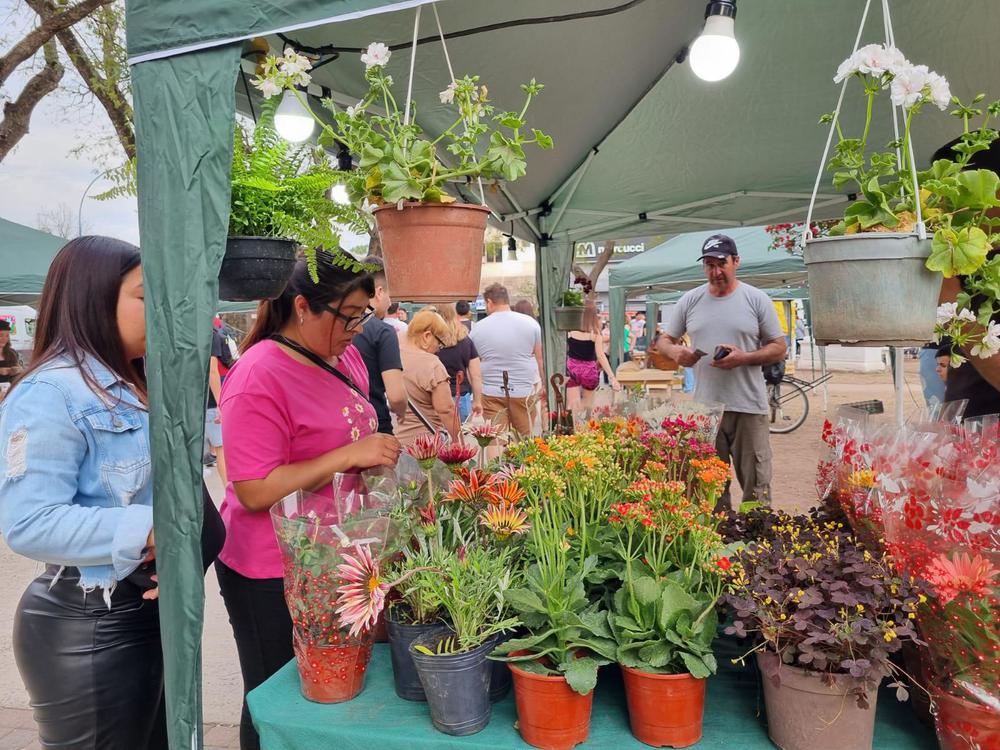 WhatsApp Image 2023-10-18 at 12.58.03