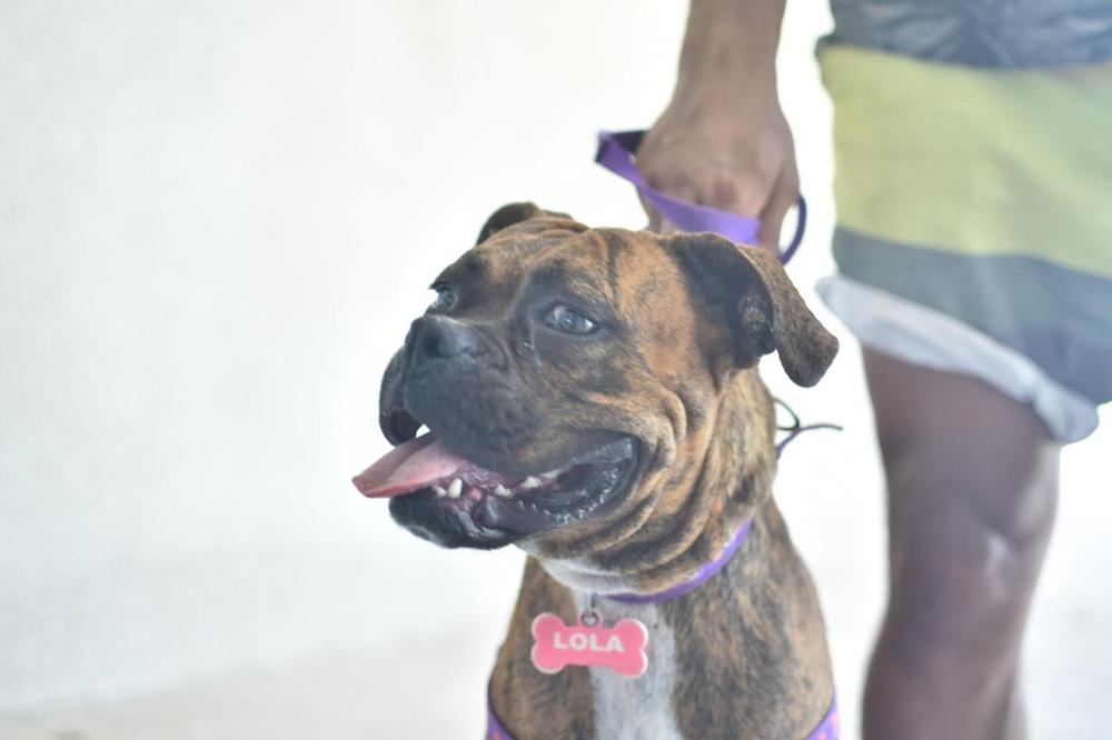 WhatsApp Image 2024-01-01 at 3.27.20 PM