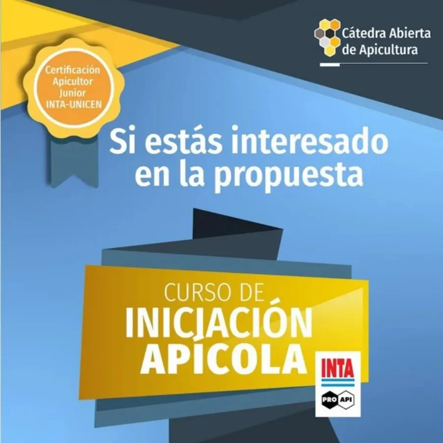 456451927_826299869640848_2468970825516387058_n