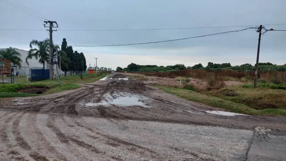 WhatsApp Image 2025-05-06 at 1.18.56 PM (2)