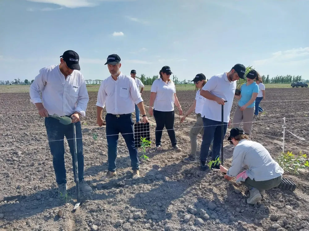 727eb085994d33de3d84997b826f183ebf55df74