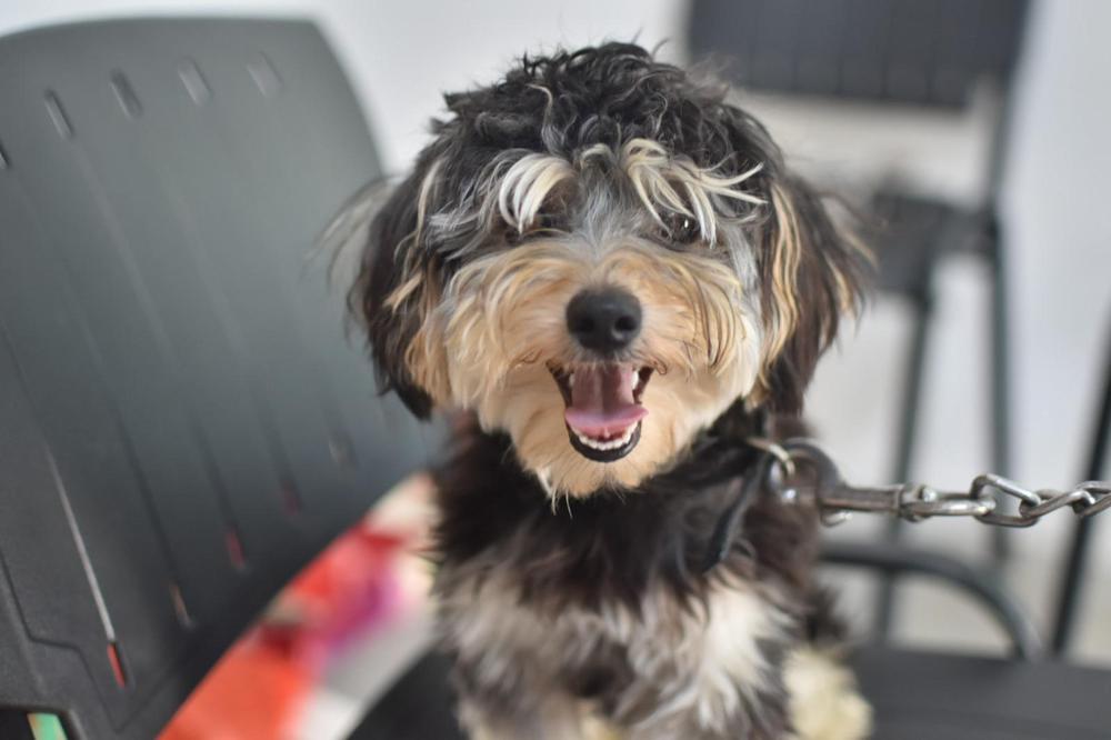 WhatsApp Image 2023-12-04 at 12.18.24 PM