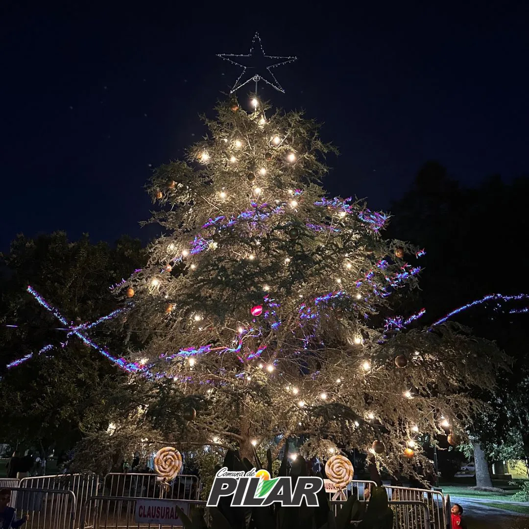 a7300dbf-3d1f-4a12-842a-3b80792b45e4