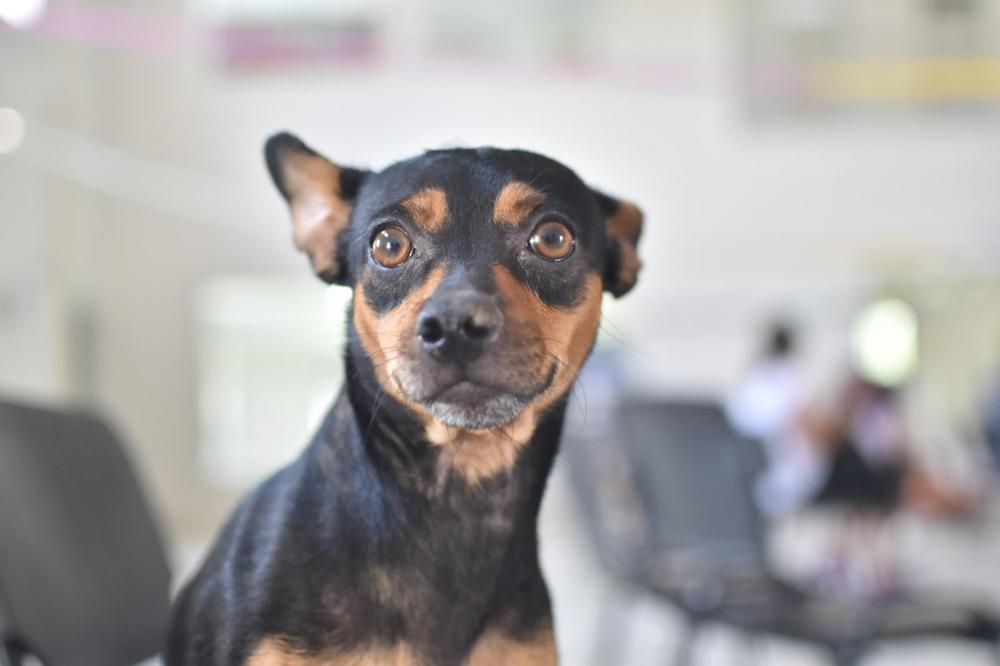 WhatsApp Image 2024-01-14 at 2.46.01 PM