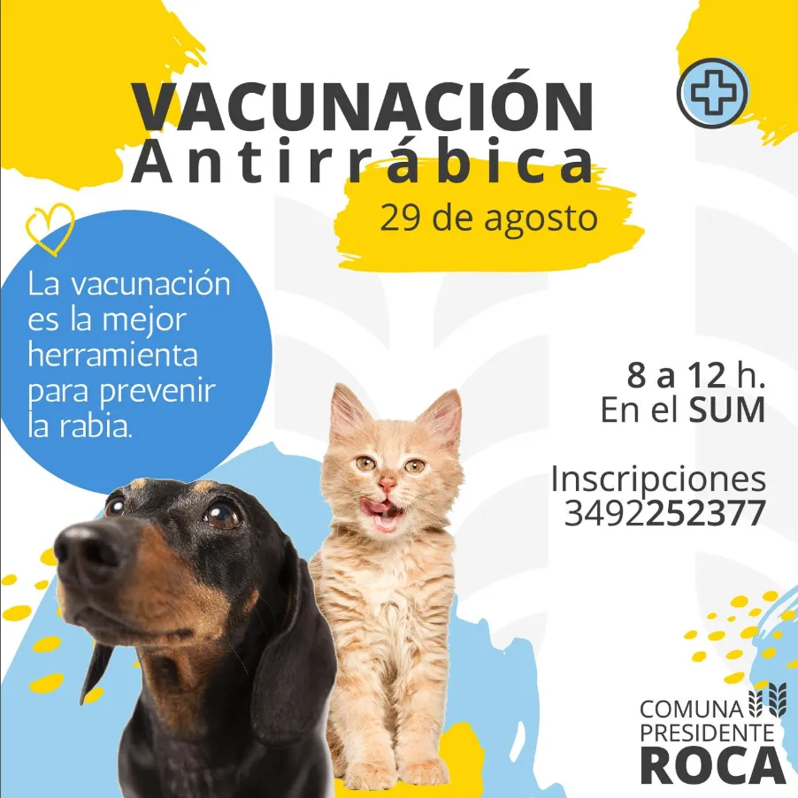 Comuna de Presidente Roca (@comuna_roca) • Fotos y videos de Instagram - Google Chrome 25_8_2024 10_59_47