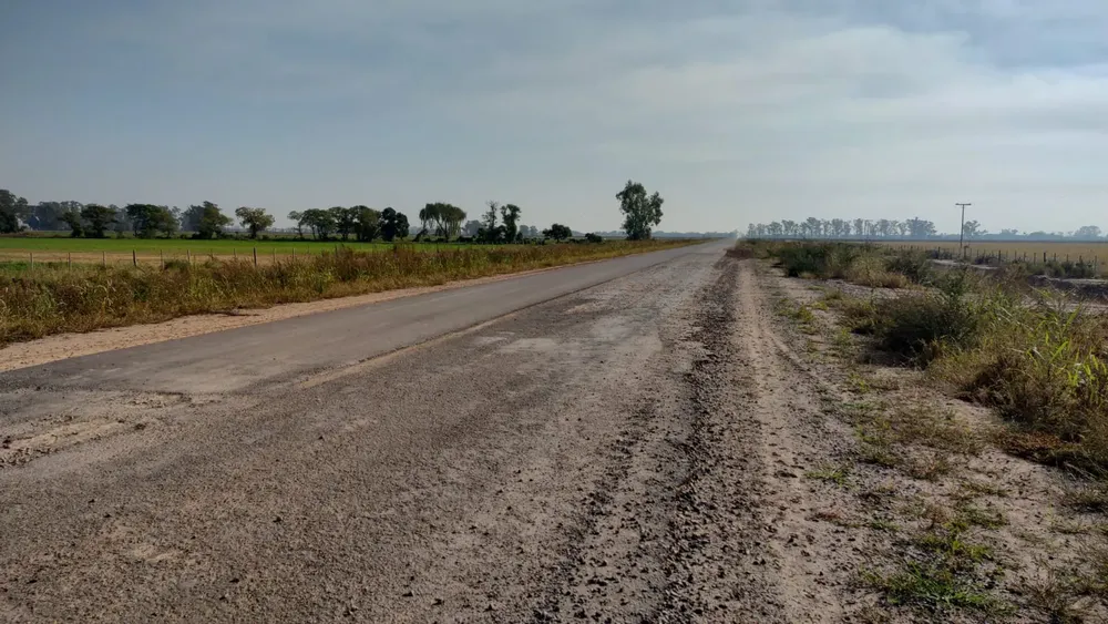 WhatsApp Image 2025-04-16 at 4.10.33 PM (2)