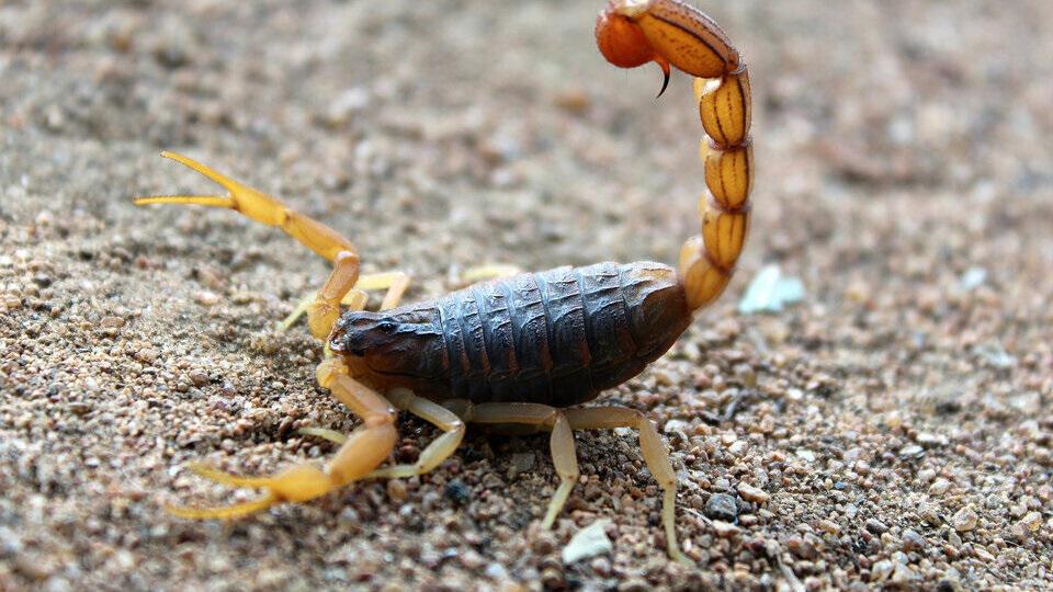 WhatsApp Image 2024-01-02 at 10.49.37 AM