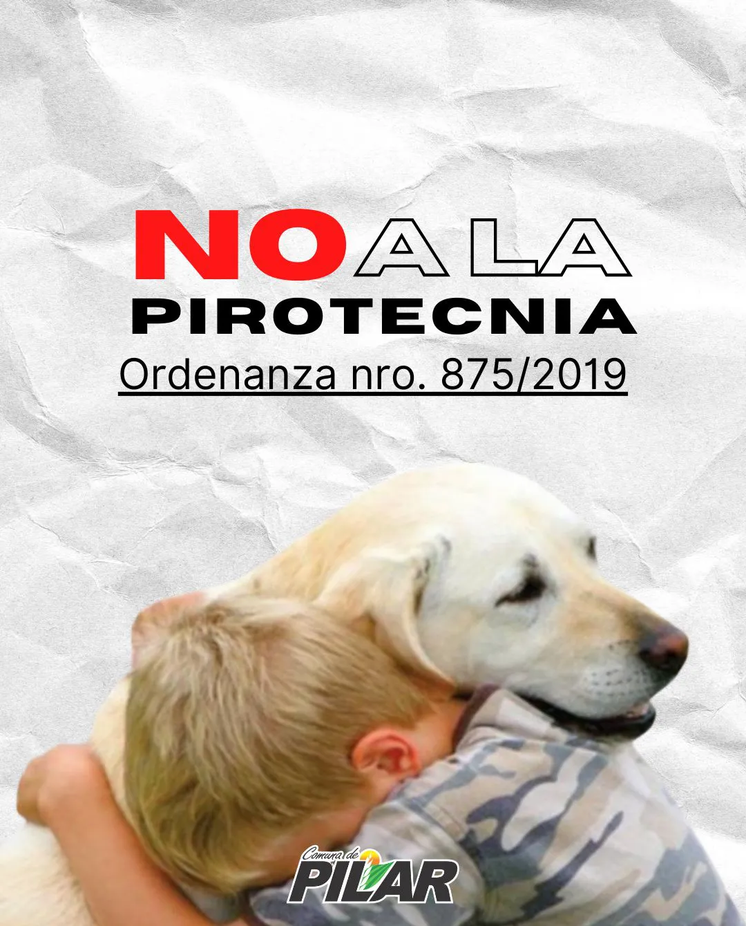 WhatsApp Image 2024-12-27 at 10.47.38 AM