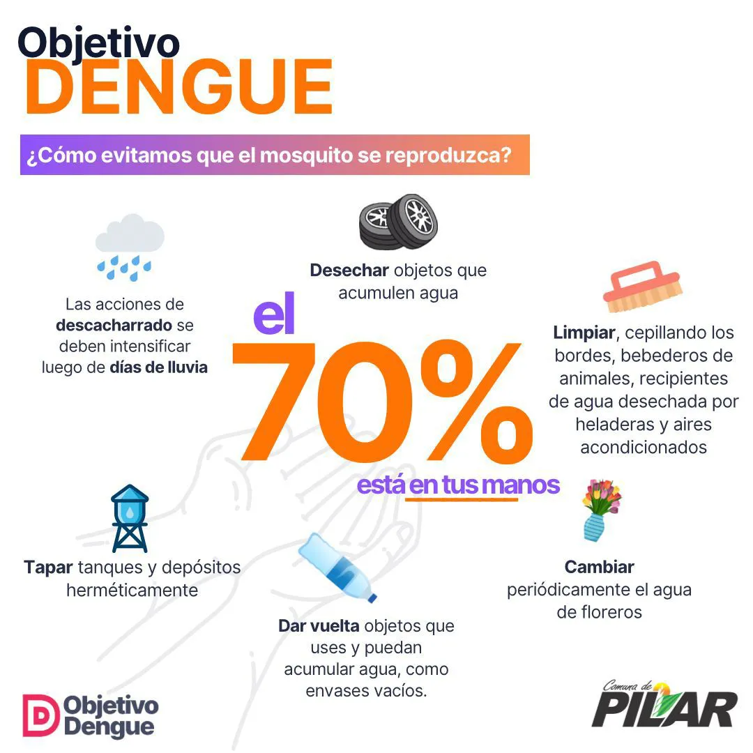 WhatsApp Image 2024-10-24 at 12.33.15 PM (1)