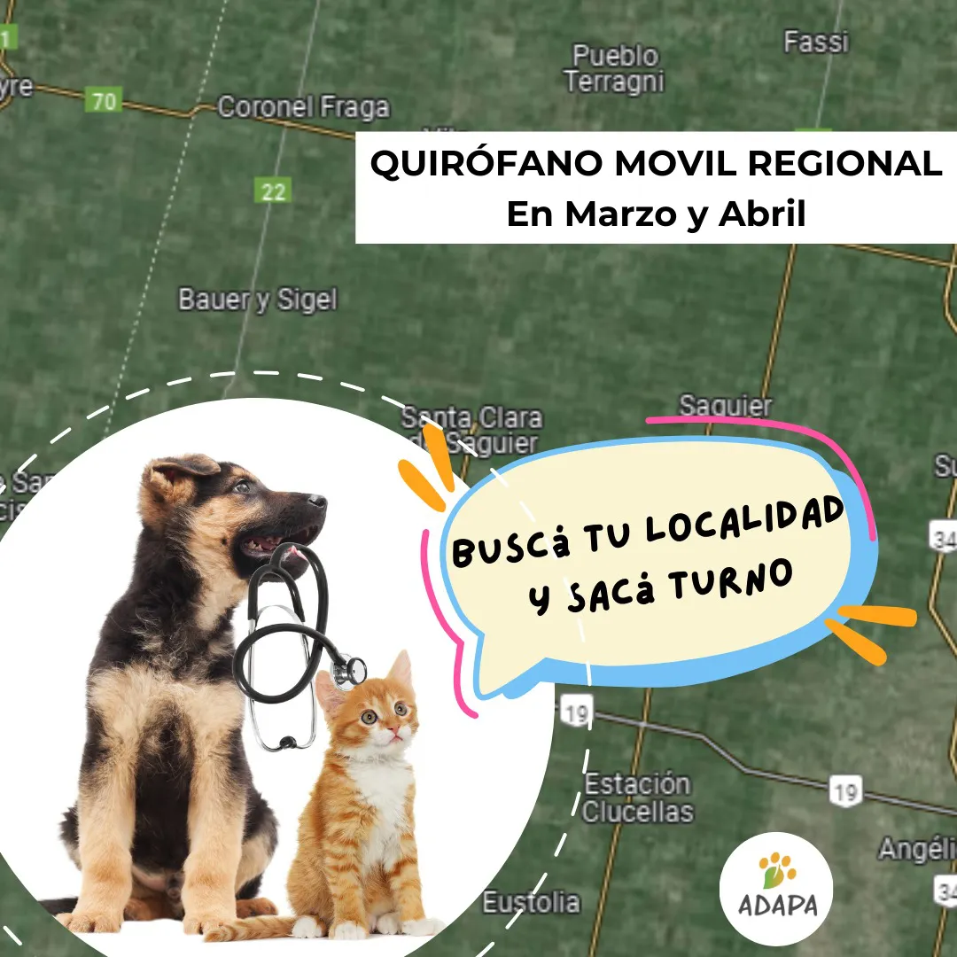 WhatsApp Image 2024-03-18 at 12.53.37 PM