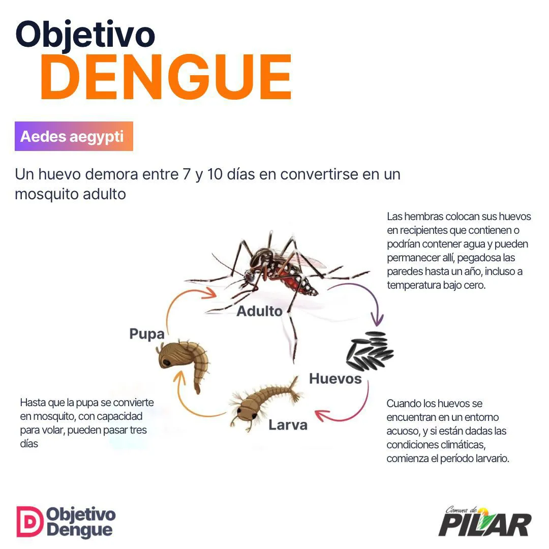 WhatsApp Image 2024-10-24 at 12.33.15 PM