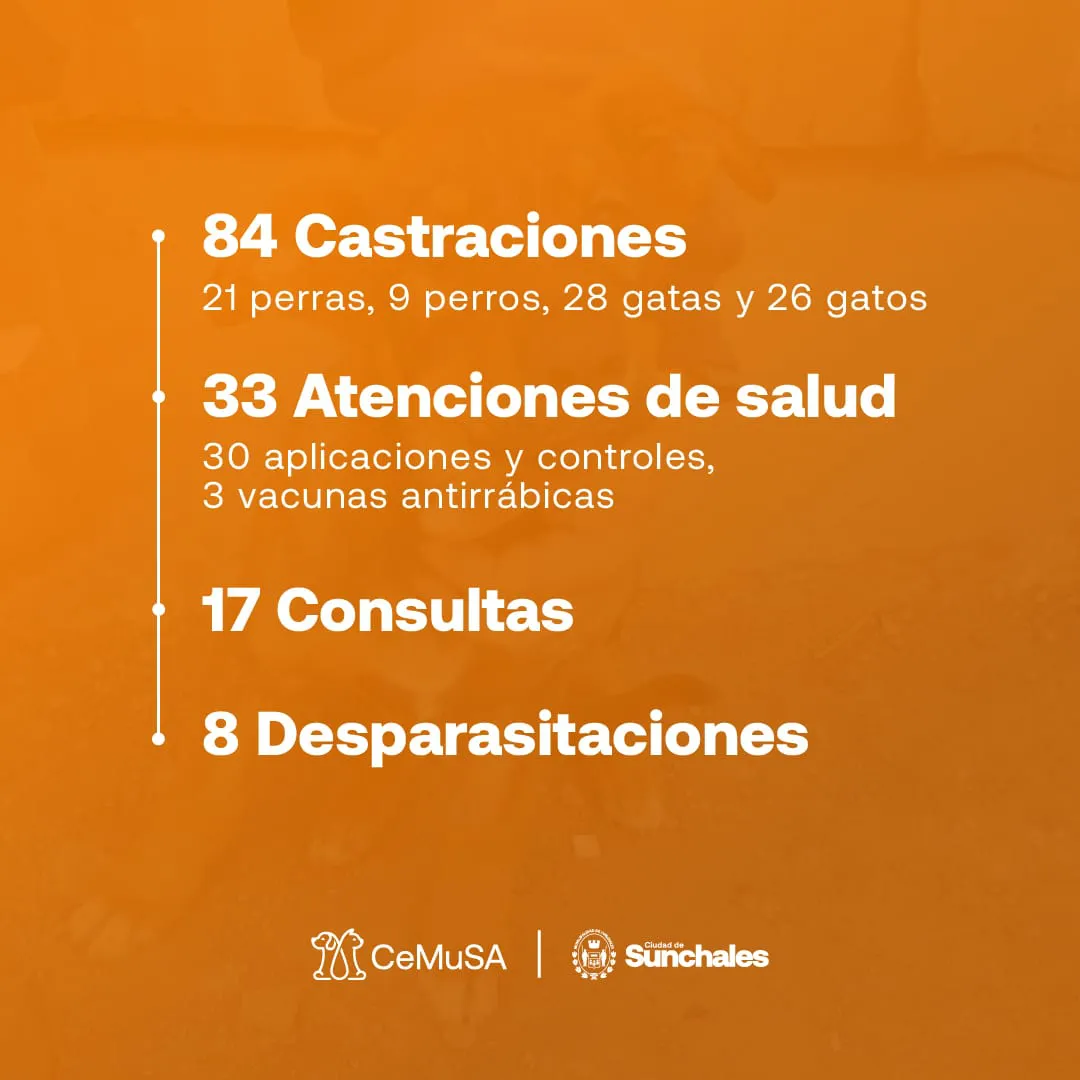 WhatsApp Image 2024-07-15 at 11.02.59 AM (1)