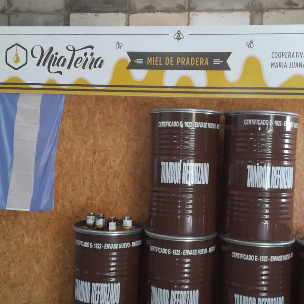 540786025_1203412621823944_2751413291687386936_n