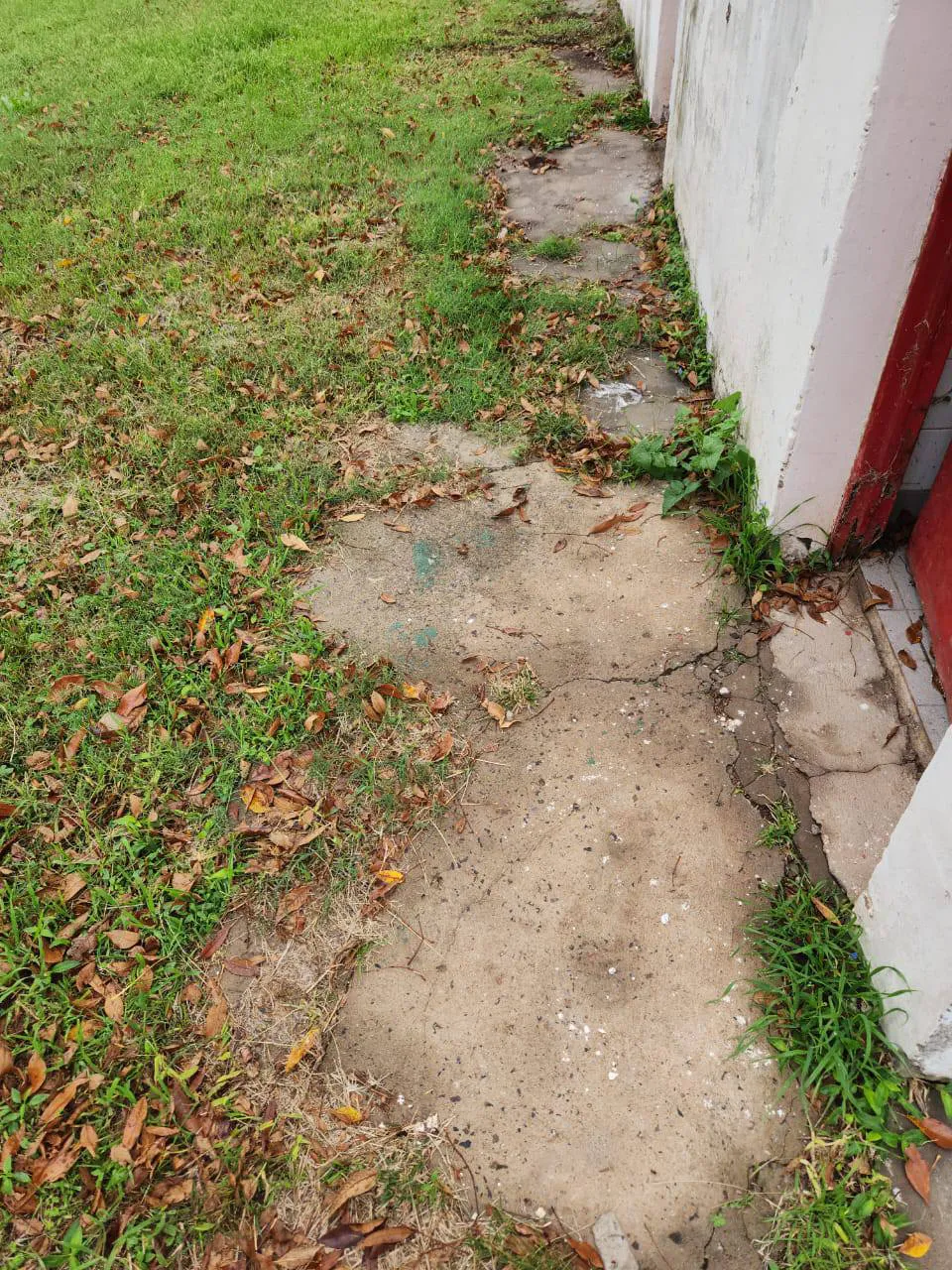 495382042_1115363263969055_470830684536447051_n