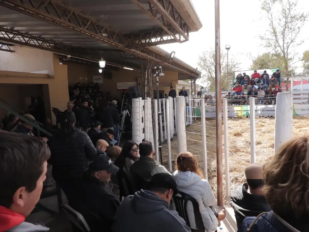 470572938_598743782846603_2079339275329228972_n