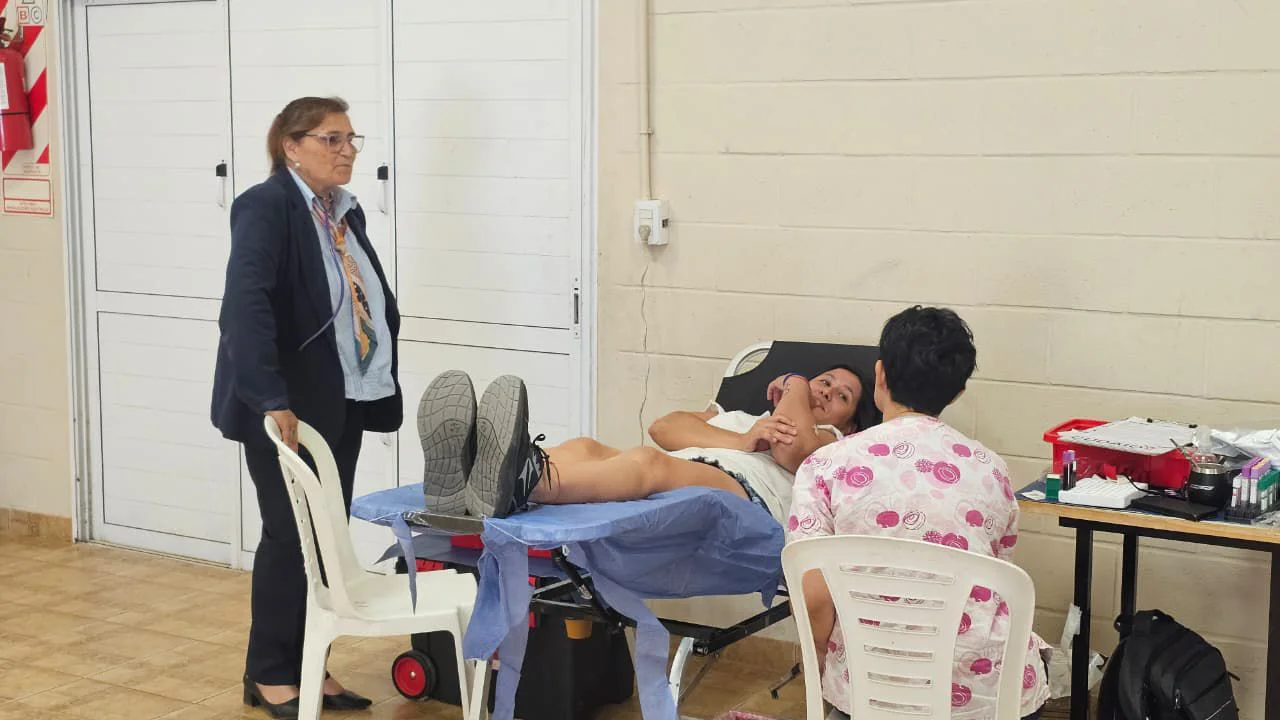 WhatsApp Image 2026-01-20 at 16.50.10