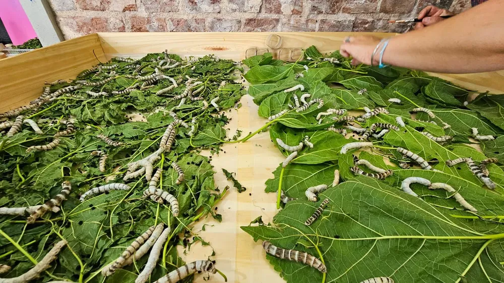 540e2d41-c86a-4cd3-8fdc-7a73e17c7243