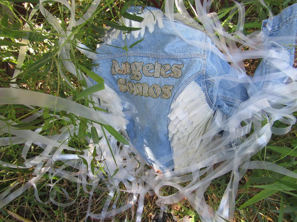 Blas Aparecido_MMAUP