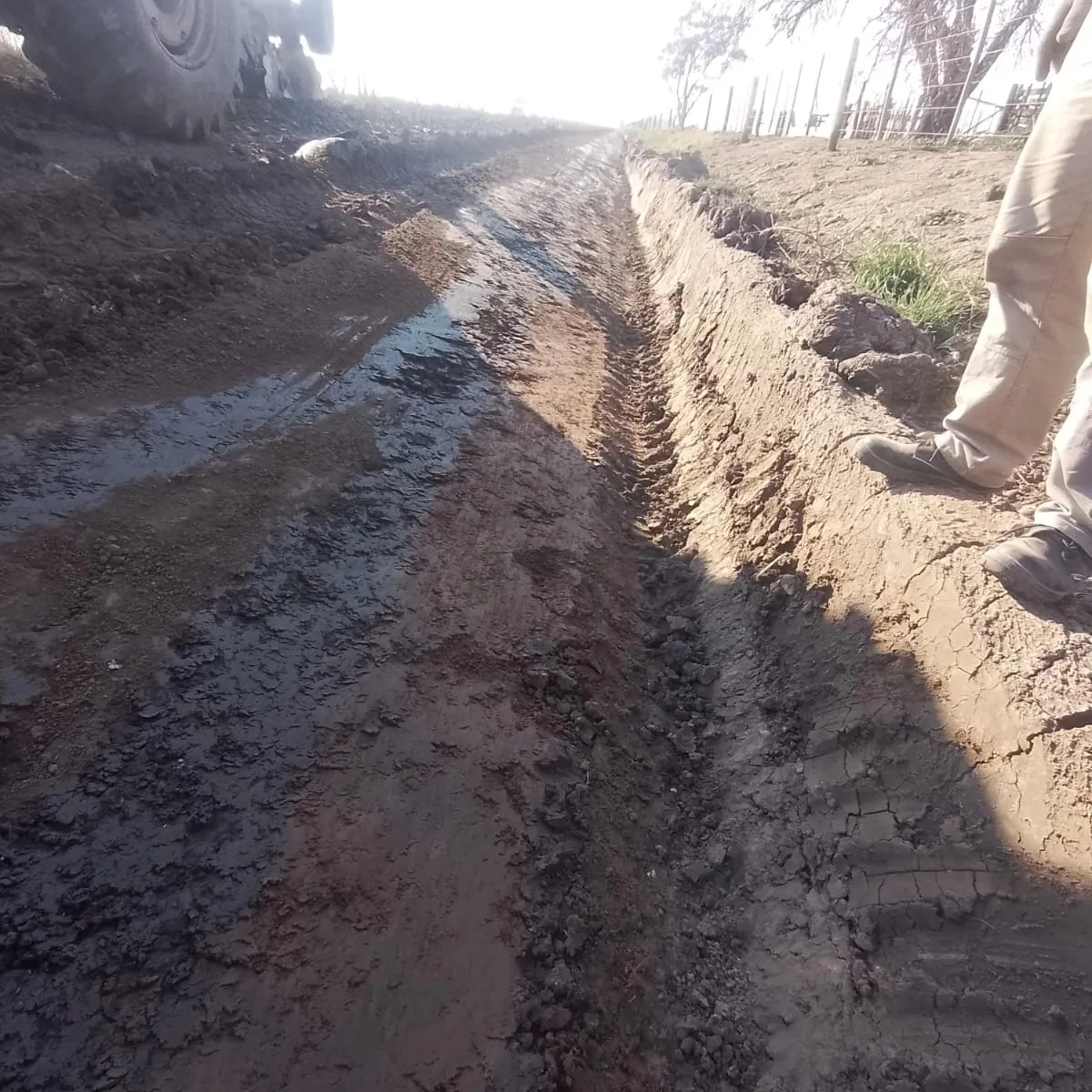 457510223_10229717448511885_8405822276231663258_n