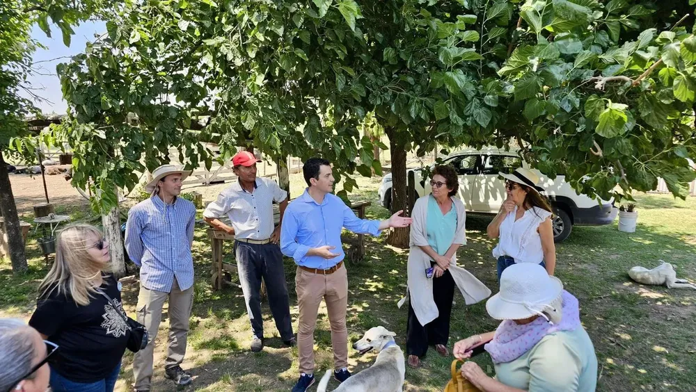 a01b0e51-3503-4d3a-9bc2-d176175549c6