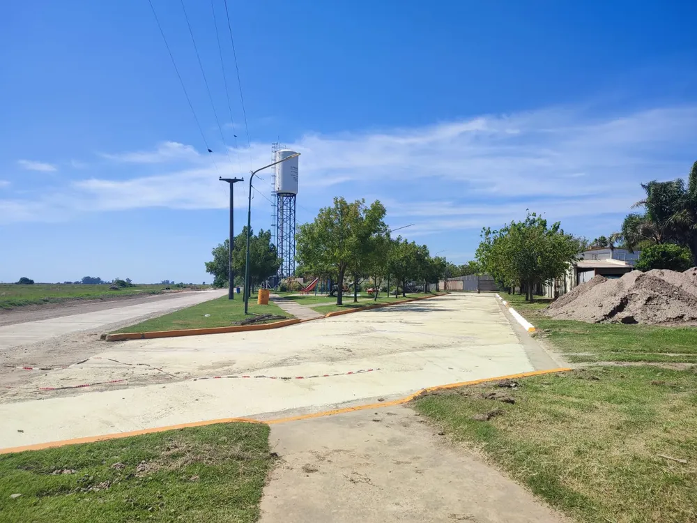 WhatsApp Image 2025-03-20 at 12.16.16 PM