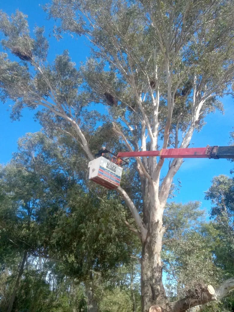 317769db-50f6-41d6-b151-064360f898cf