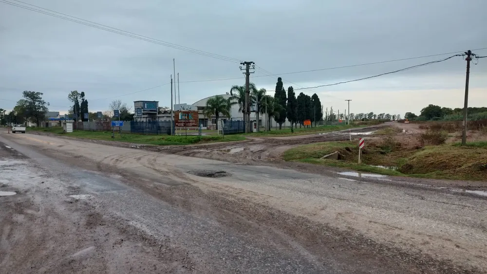 WhatsApp Image 2025-05-06 at 1.18.56 PM (1)