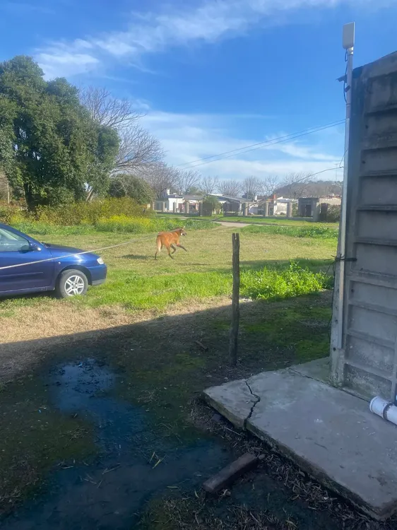 WhatsApp Image 2025-08-02 at 20.20.25