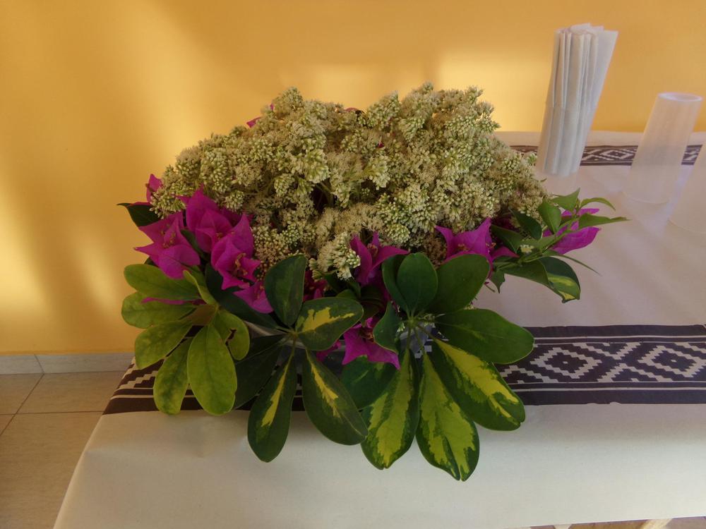 336380368_746197007122146_1228611250707163082_n